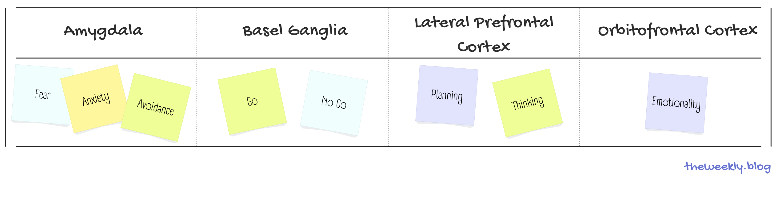 neural circuits table