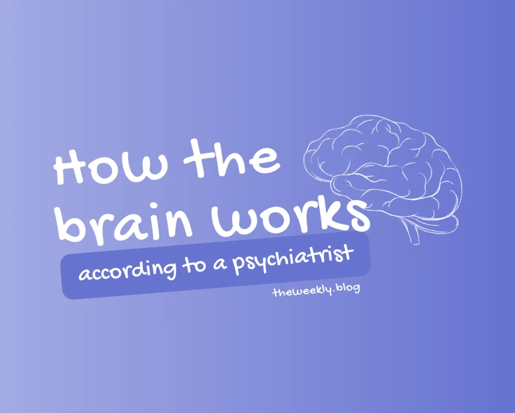 How the brain works