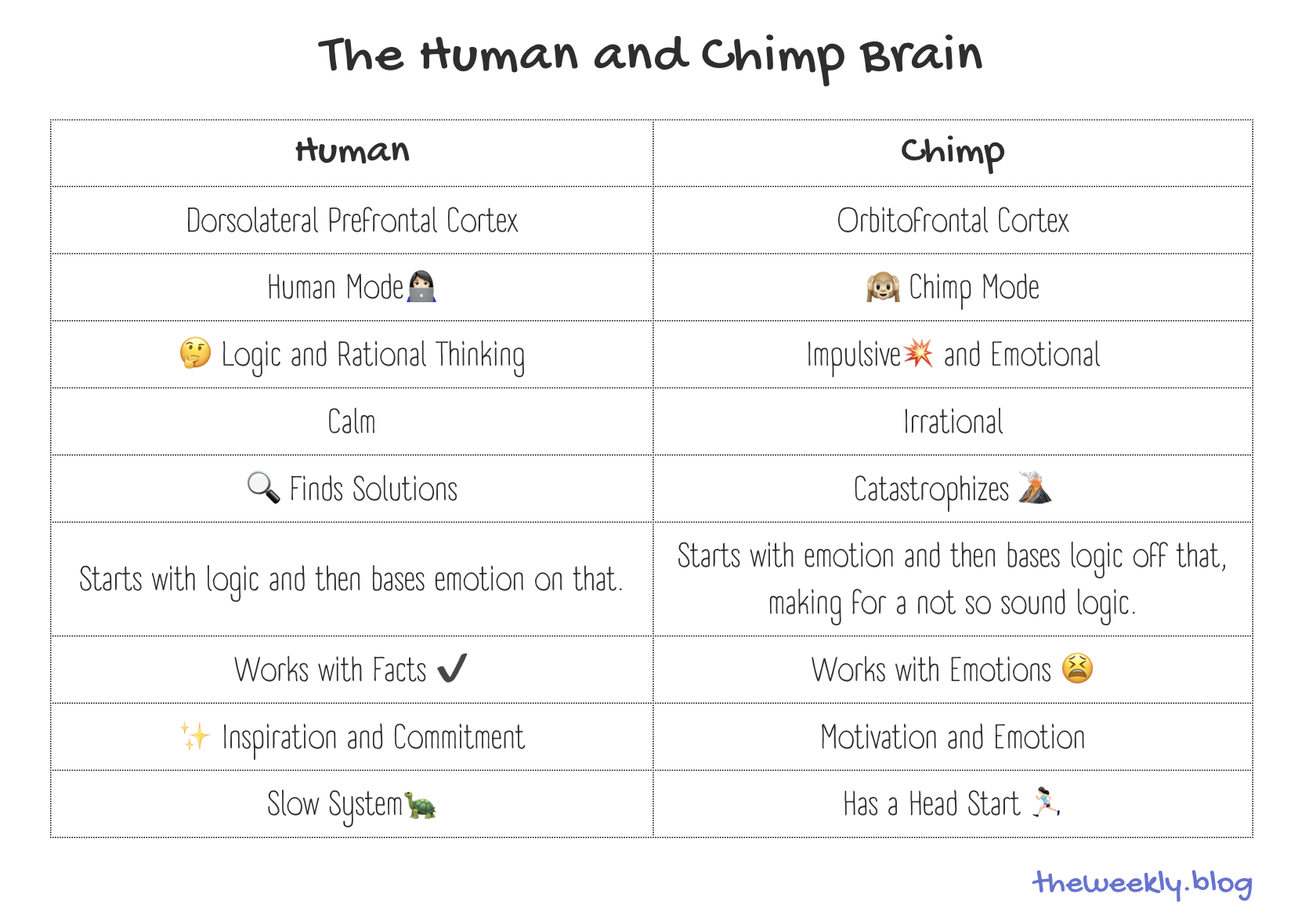 How the Brain Works: Human and Chimp Brain Comparison